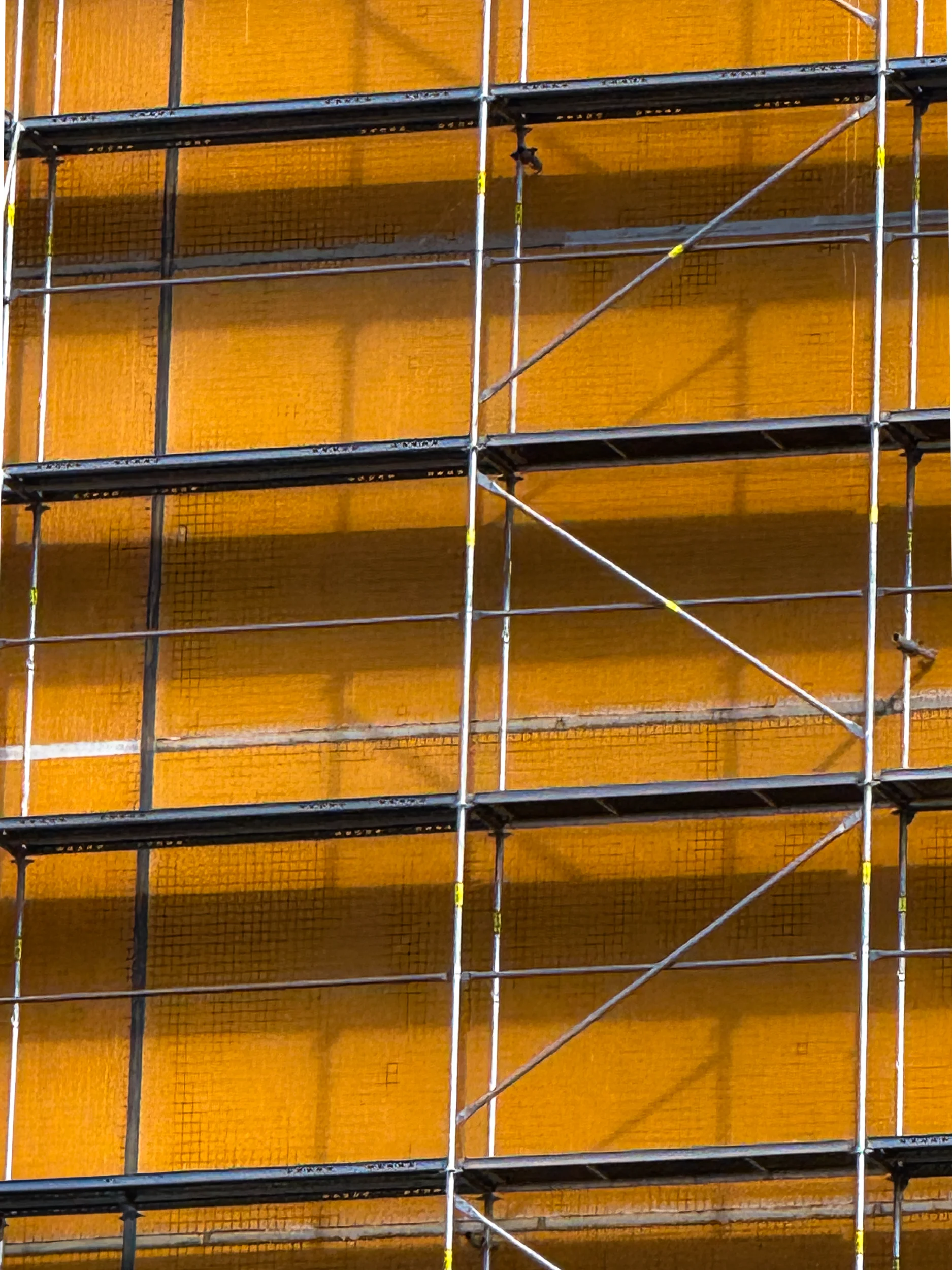 Scaffolding Study